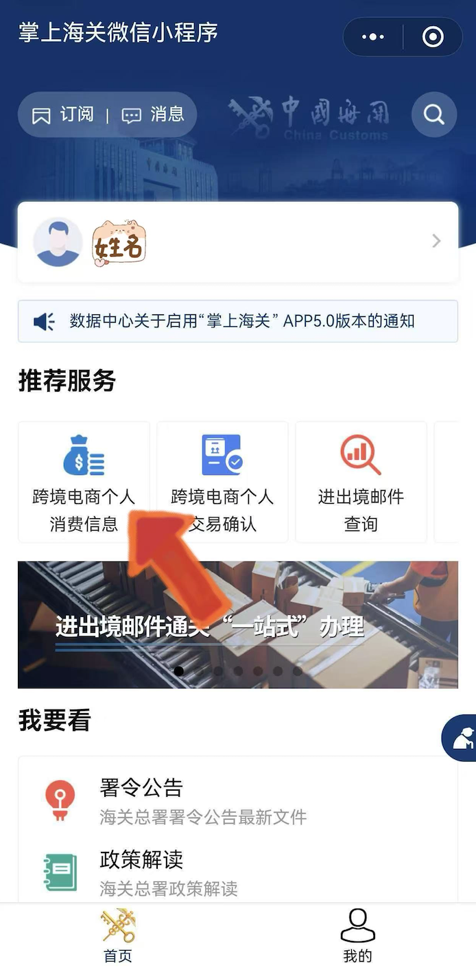 跨境电商个人消费信息入口页面截图